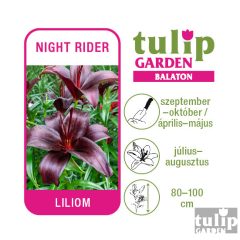 Liliom Nightrider