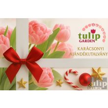 TulipGarden Balaton Karácsonyi Ajándékutalvány